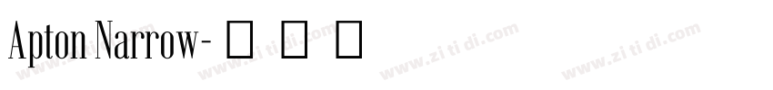 Apton Narrow字体转换
